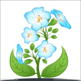 枕边花