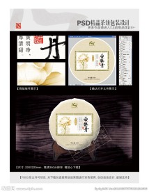 白牡丹茶