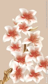 时尚花朵玄关
