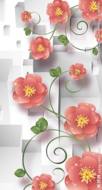 时尚玄关