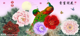 花开富贵牡丹孔雀十字绣无框画