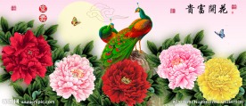 花开富贵牡丹孔雀十字绣无框画