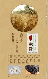 24节气之寒露