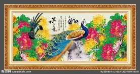 孔雀图