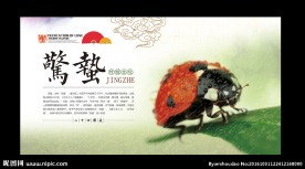惊蛰