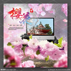 粉色 樱花节