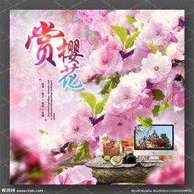 赏樱花 樱花节