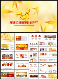 金色2017商务工作总结汇报