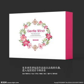 艺术花纹花纹女性内衣品牌包装