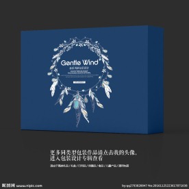 燕窝大牌时尚艺术包装礼盒设计