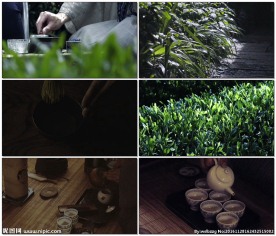 茶道的艺术