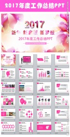 创意花纹2017年终总结PPT