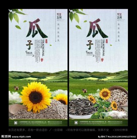 瓜子