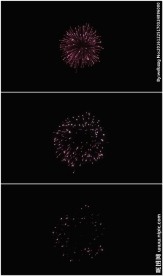 美丽烟花绽放