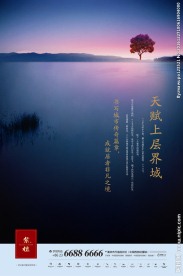 高端地产DM别墅项目宣传海报
