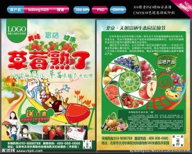 草莓采摘海报