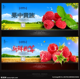 树莓