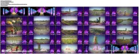 《十里花廊》LED背景