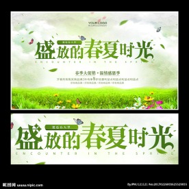 盛放的春夏时光