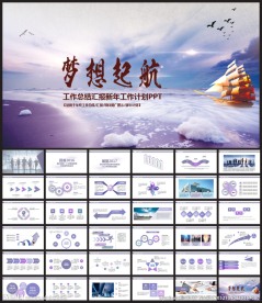2017商务工作总结汇报PPT