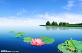 春荷