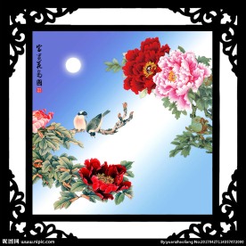 花鸟图
