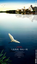 地产报广 海报图片