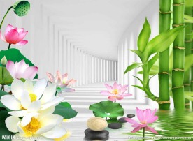 3d背景墙 荷花