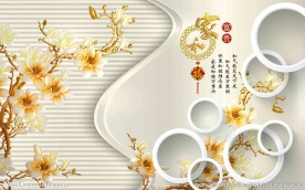 家和玉兰圈圈背景墙