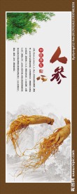 人参中草药展板