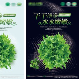 生鲜水培蔬菜海报