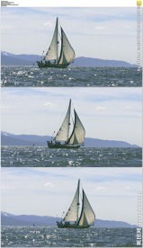 海洋帆船