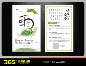 安吉白茶