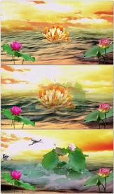 荷花池丹顶鹤