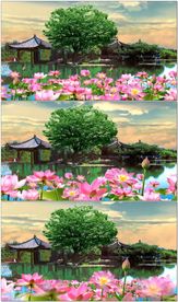 江南荷花池