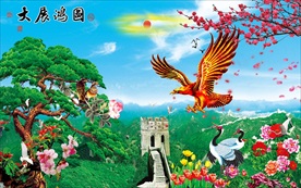 大展宏图  大红鹰  雄鹰