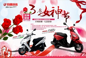 情人节的玫瑰 女神节