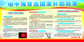 地中海贫血宣传栏