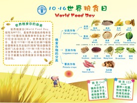 世界粮食日