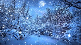 雪中月亮