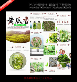 黄瓜香食品详情页