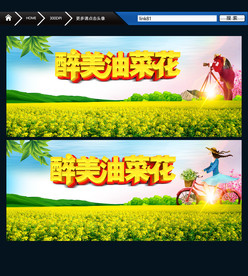 油菜花 唯美
