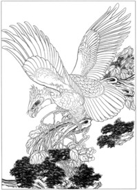 雄鹰 线描 素描 白描 国画
