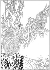 雄鹰 线描 素描 白描 国画