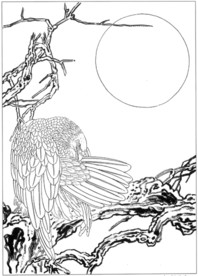 雄鹰 线描 素描 白描 国画