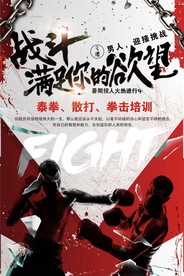 拳击海报