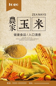 熟玉米 生玉米 玉米广告 玉米