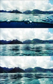 海洋绿洲
