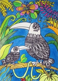 森林大嘴鸟 绘画 美术 儿童画