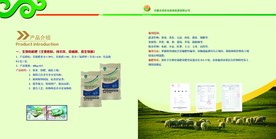 产品介绍宣传册